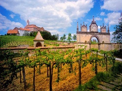 Find Winery, Brewery and Distiller Tours and Tastings